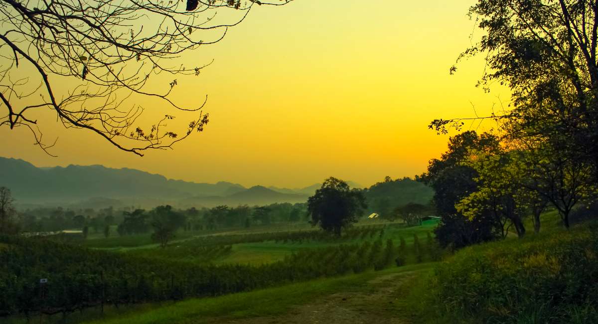 Jungle Thailand - Khao yai