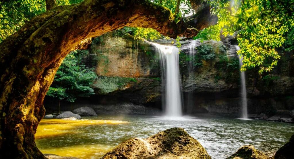 Natuur Thailand - Khao Yai