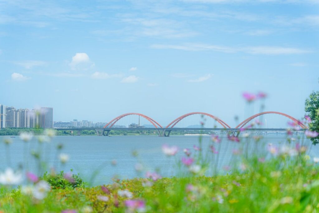 Bridge arches over a river with flowers in the foreground.-Phong Nha Vietnam