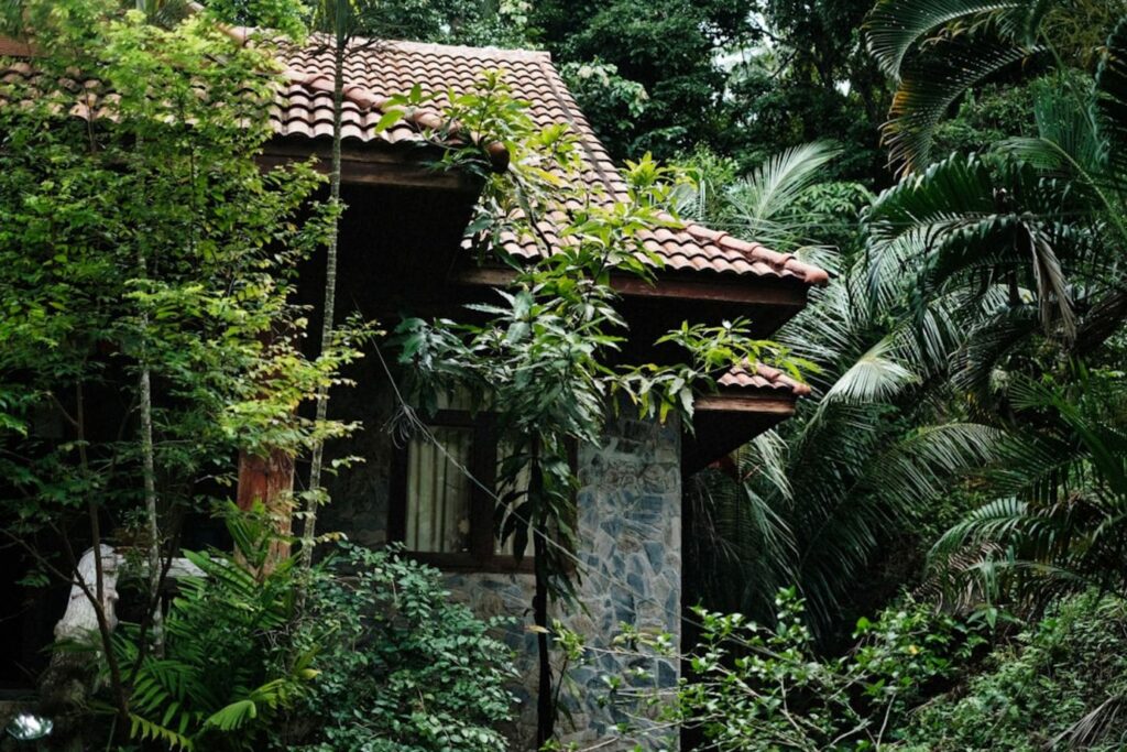 A house hidden in lush greenery.-Holland Village Singapore