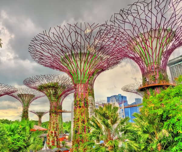 Singapore - gardens by the bay