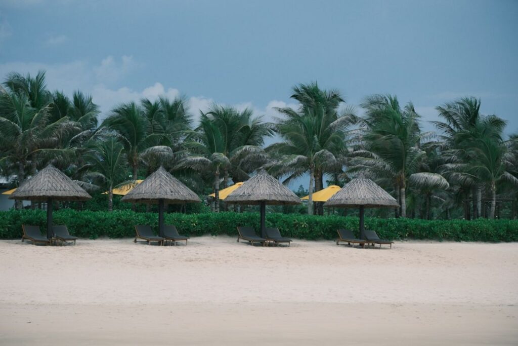 Beach umbrellas and lounge chairs under palm trees-United arab emirates islands