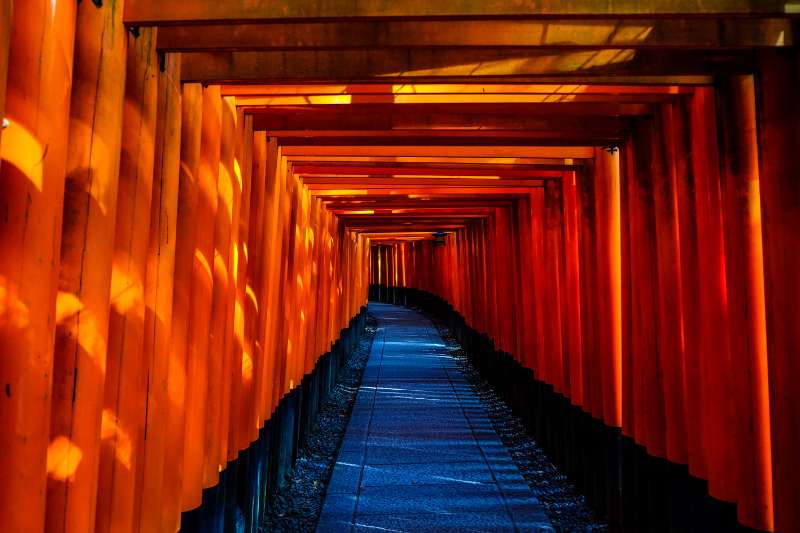 Blue and Orange Wooden Pathway
