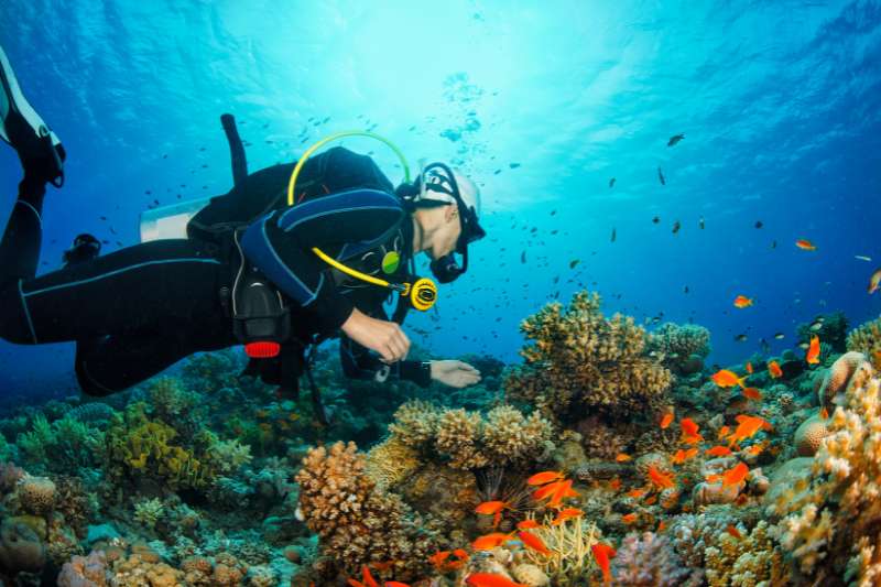 Duiken snorkelen azie - duiken thailand