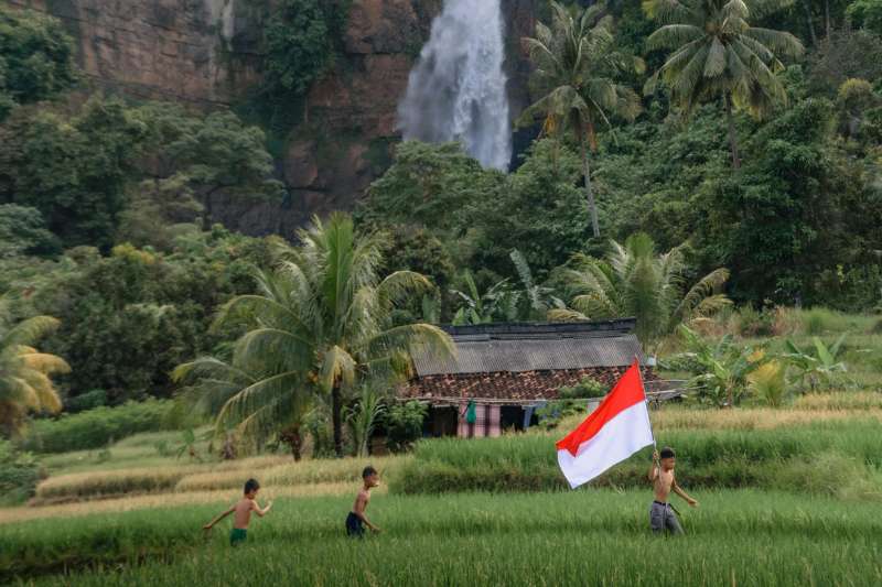 Indonesie Gids - rijstveld