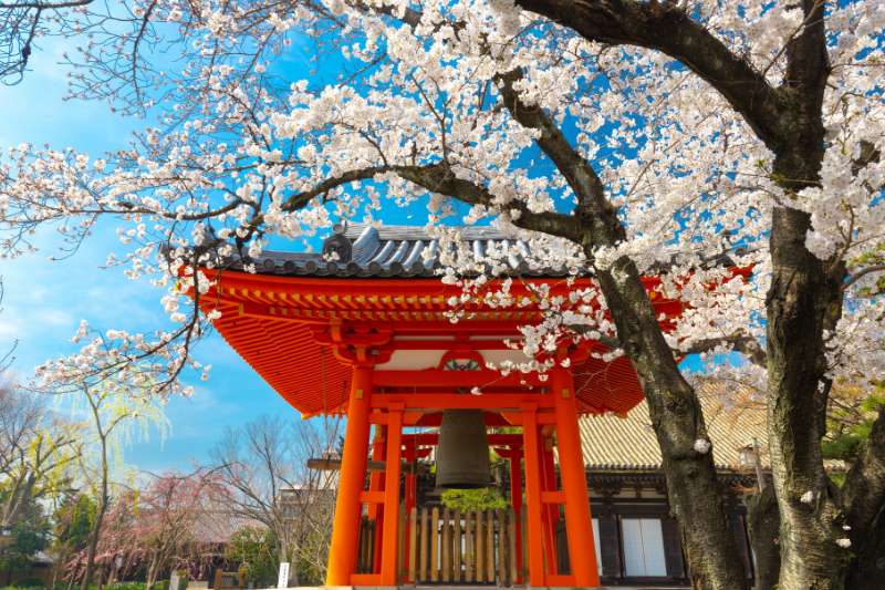 Japanese Temple at Spring