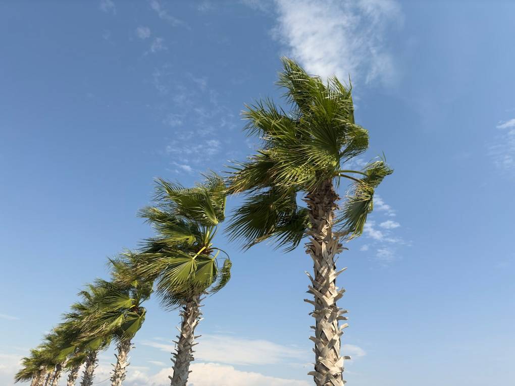 Beste reistijd Jebel Shams | Weer informatie per maand 8 Afbeelding