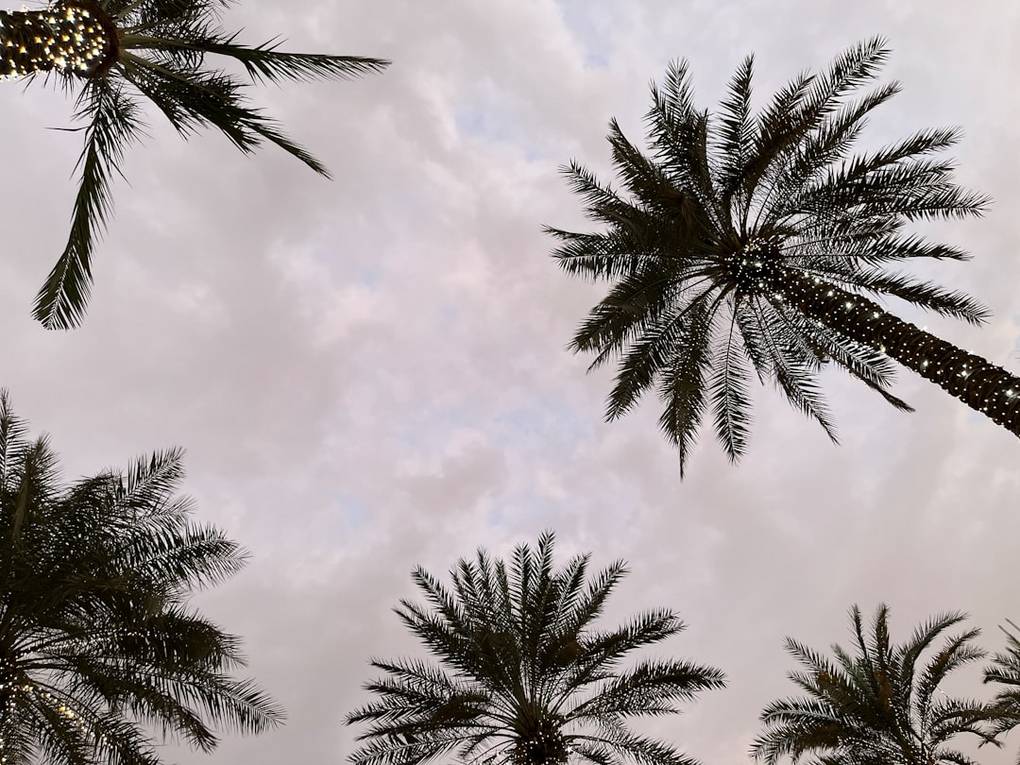 Beste reistijd Jebel Shams | Weer informatie per maand 6 Afbeelding