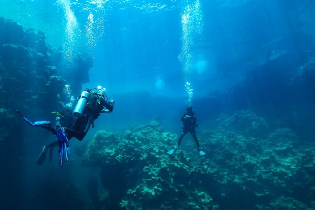 Divers explore a coral reef underwater with bubbles rising.-vietnam diving