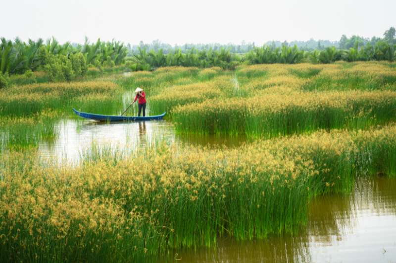 Mekong delta landschap