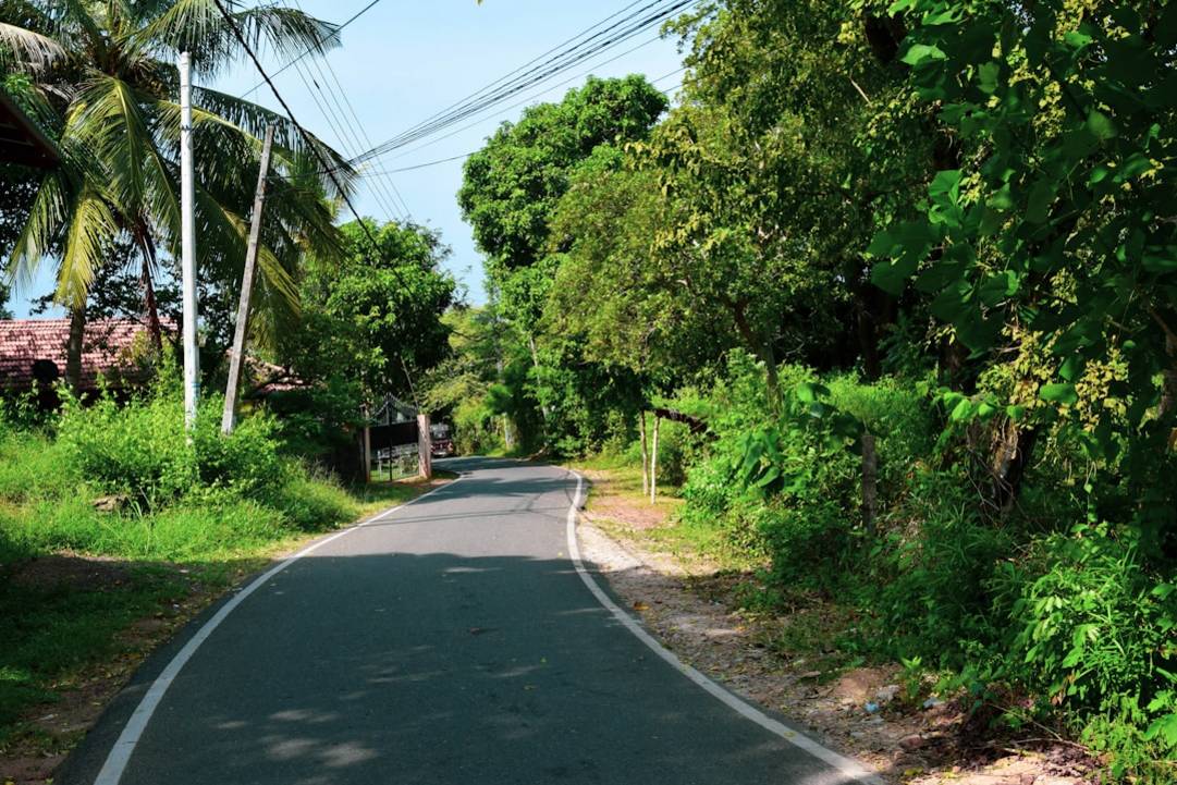 Reis van Bangkok naar Chiang Mai