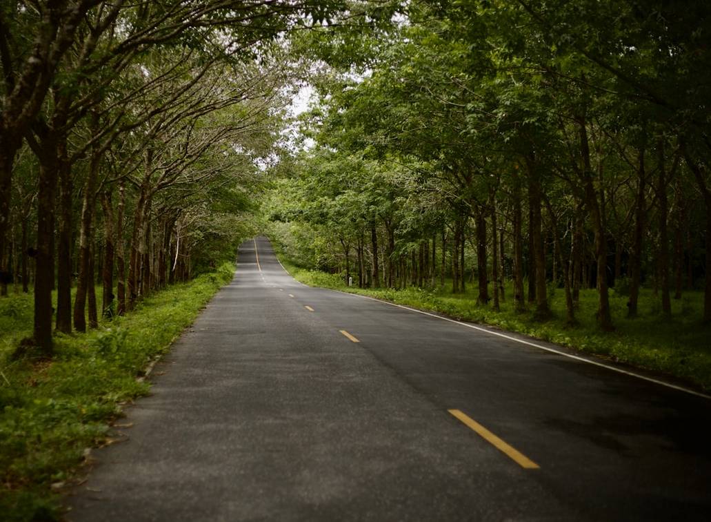 Reis van Bangkok naar Chiang Mai