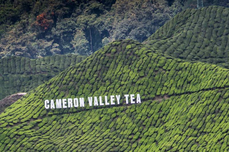 Routes Cameron Highlands