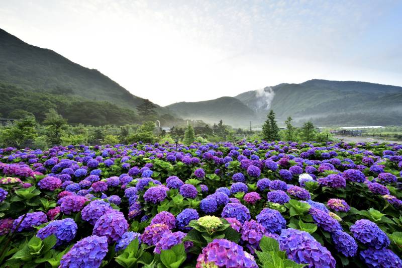 Taipei Yangmingshan Nationaal Park