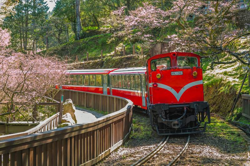 Taiwan theeplantages Alishan