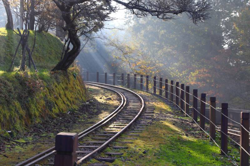 Taiwan theeplantages Alishan spoor