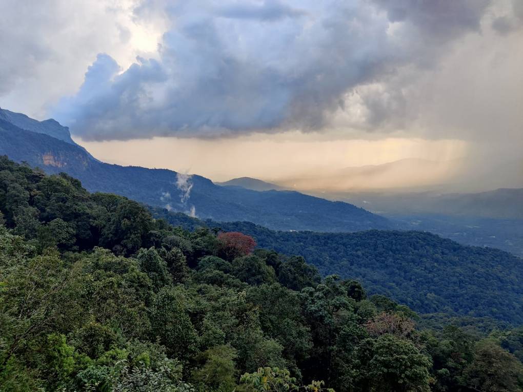 malaysia national park 1 5