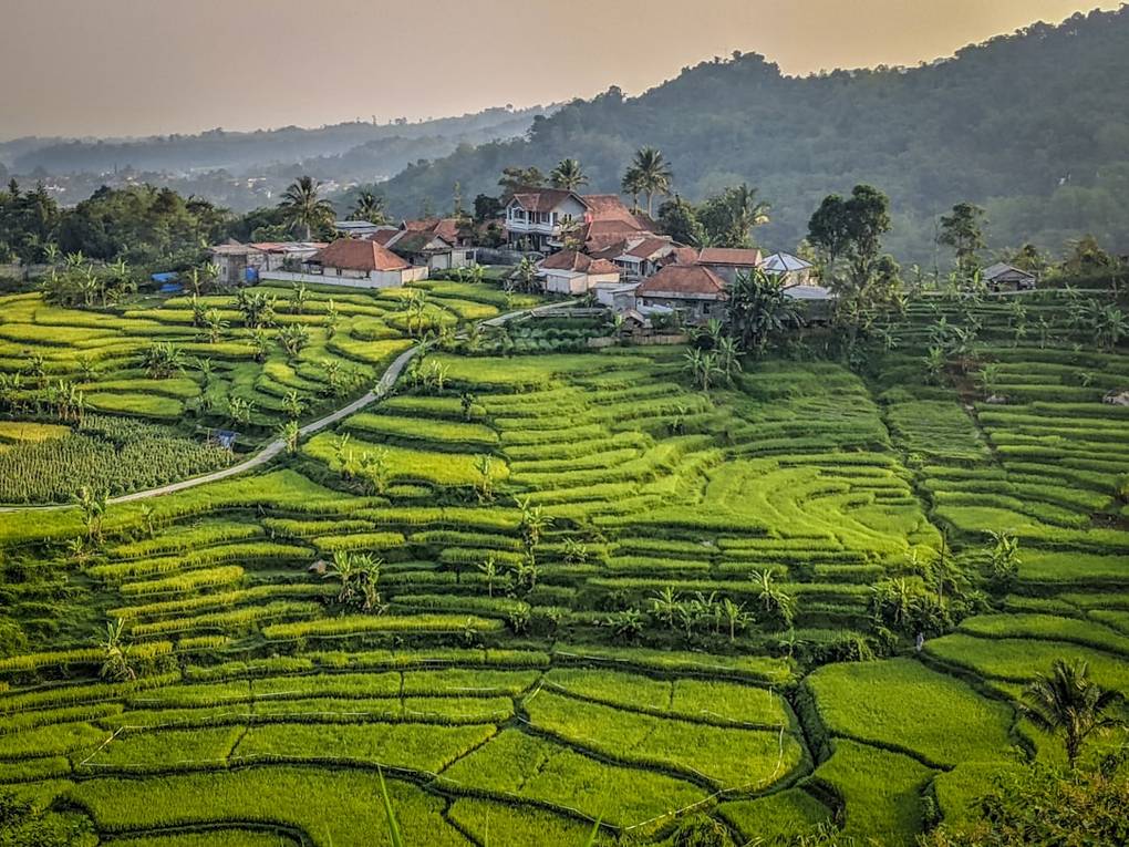 Veelgestelde vragen over Bogor