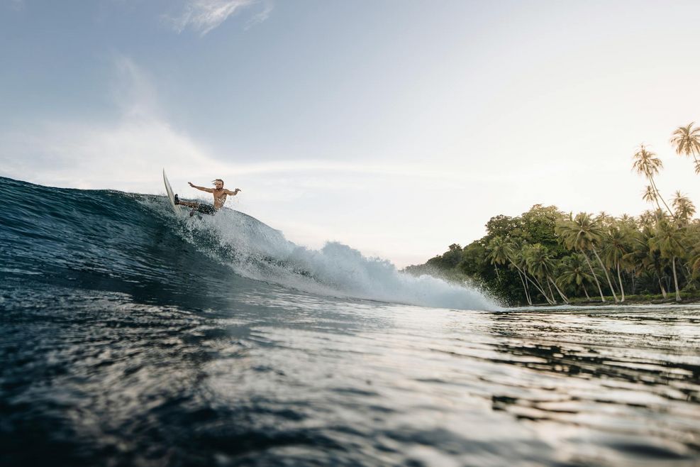 De highlights die het verschil maken