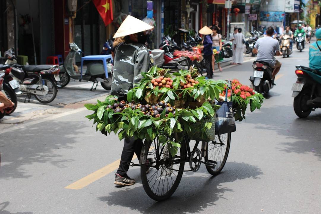 Hoe overleef je de Vietnamese streetfoodcultuur als vegetariër of veganist? extra