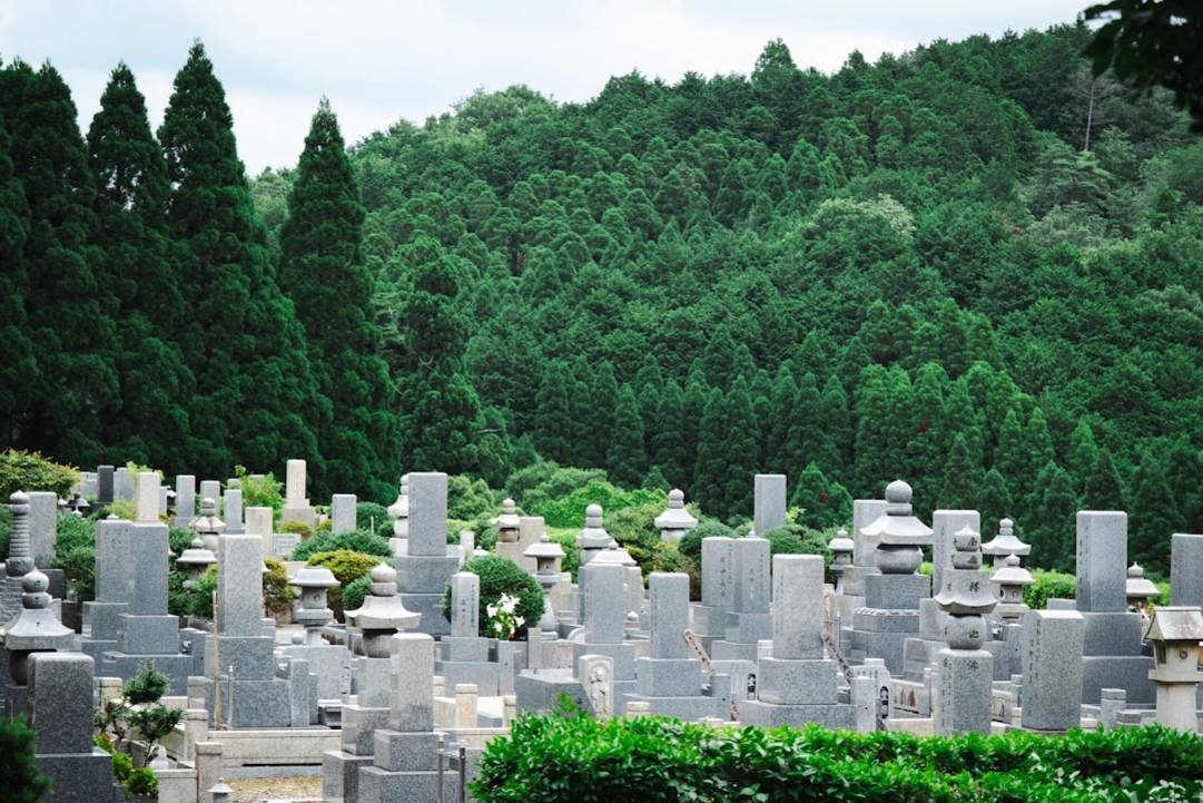 Ervaring en voorbereiding Japan