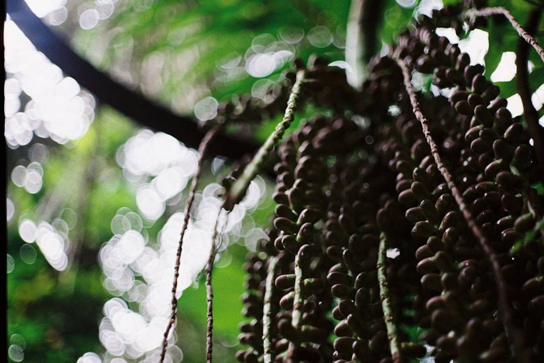 Hoe vind je het perfecte resort met een kwalitatieve kids club in Azië? extra