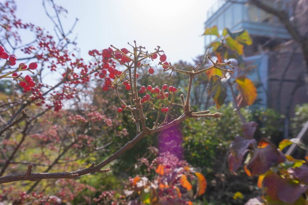 Overzicht Jeju Island