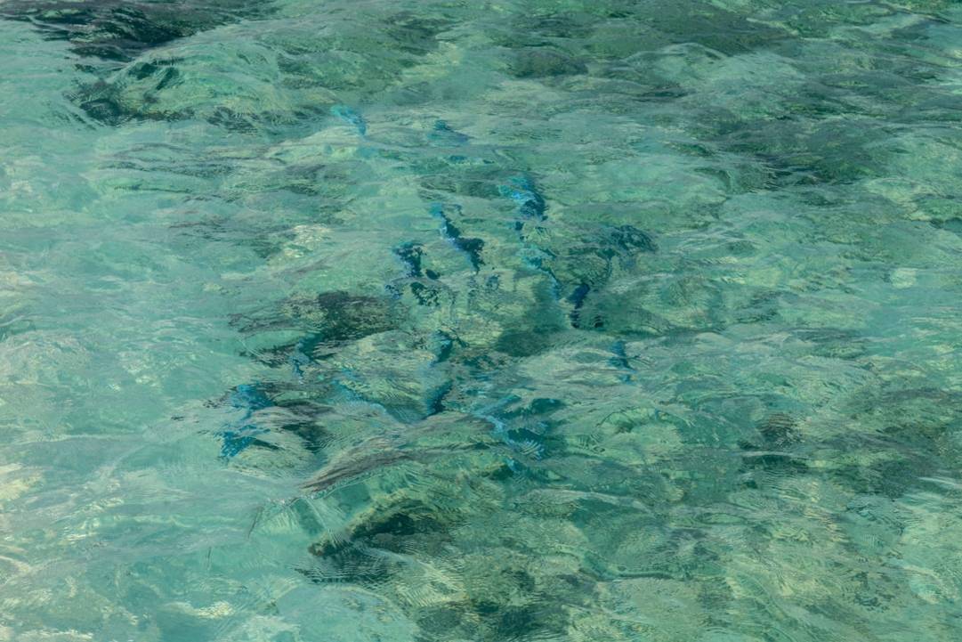 Maldives snorkeling onderwater zicht bij Nassimo Thila - Vaavu Atol