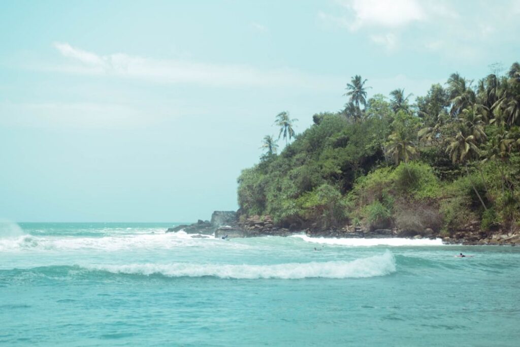 -surfen leren sri lanka