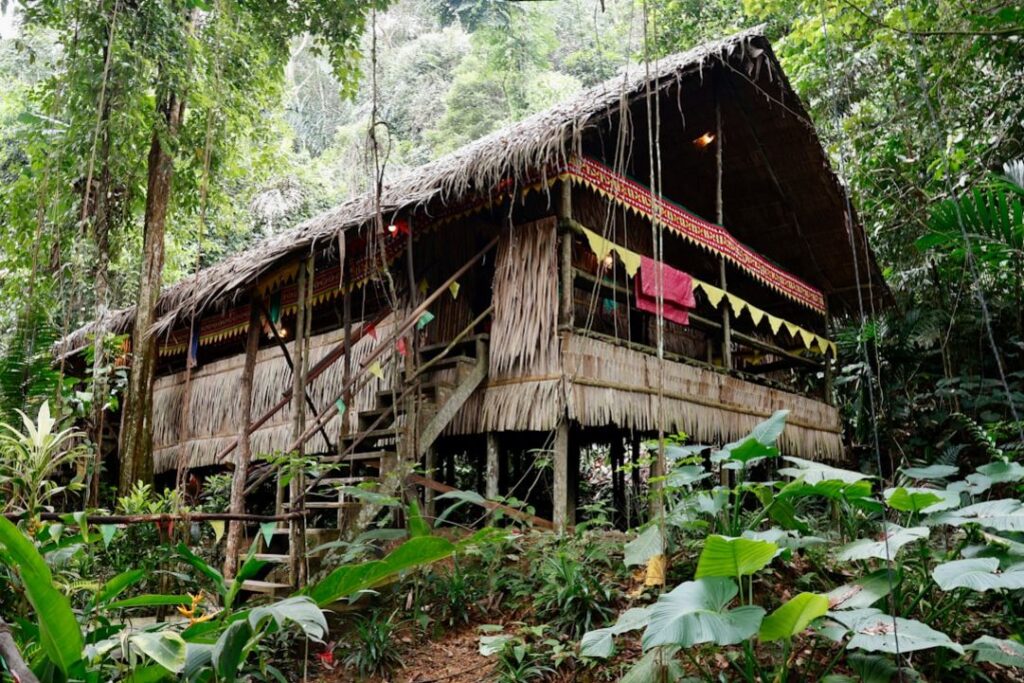 -duurzaam wildspotten Borneo orang-oetans