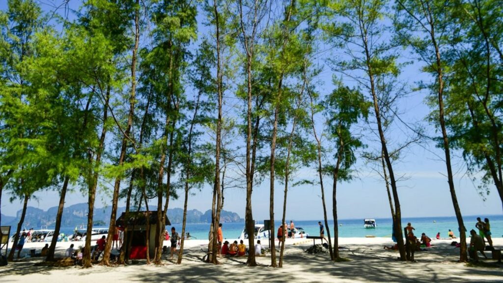 -Boomhut hotels Azië