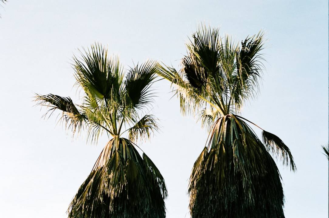 Rabbit Island (Koh Tonsay)rabbit-islandKep hoogtepunten