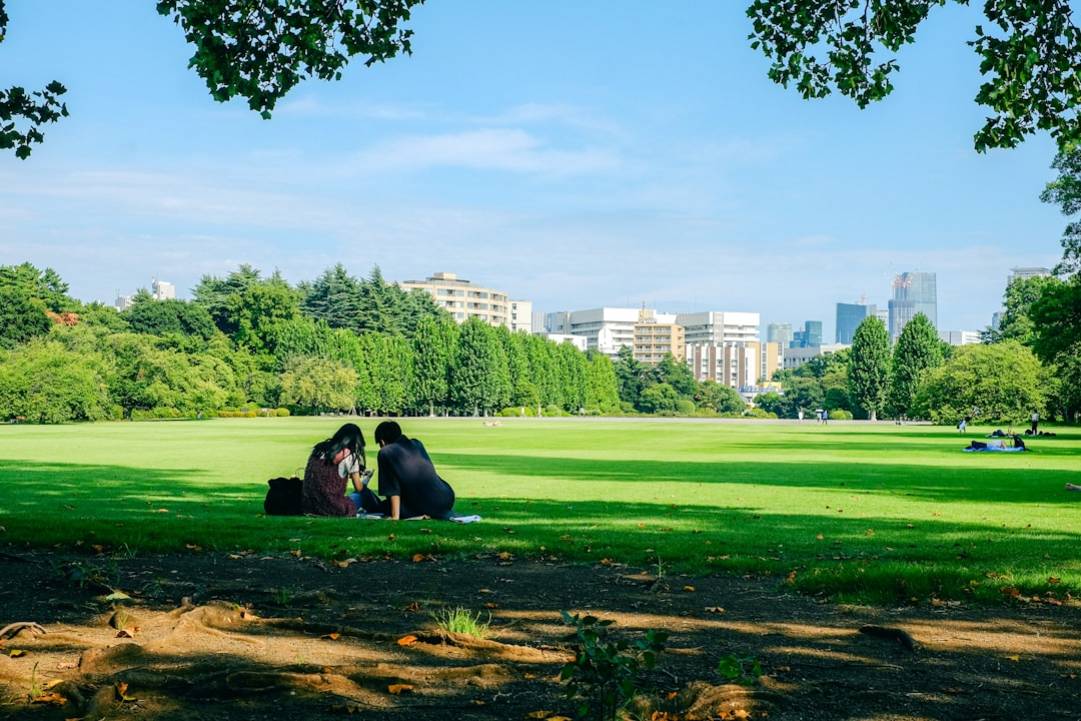 Overzicht van de reis