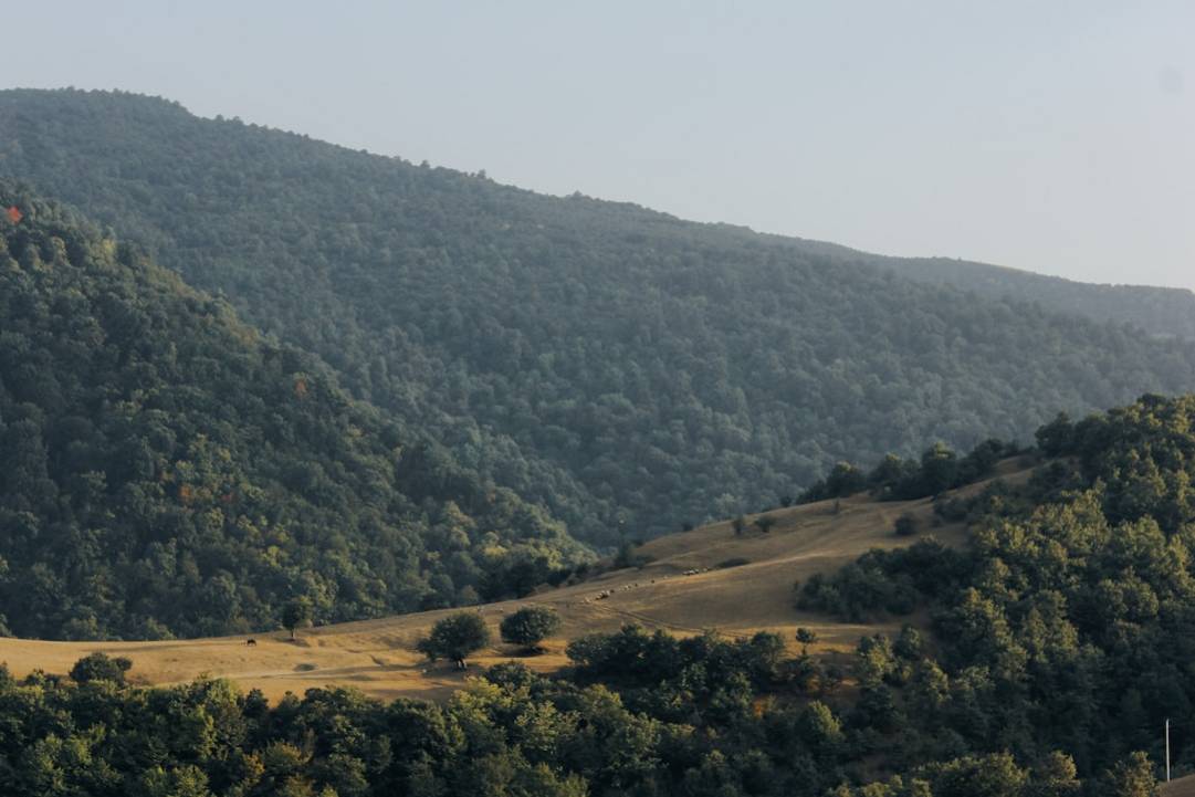Lokale praktische tips
