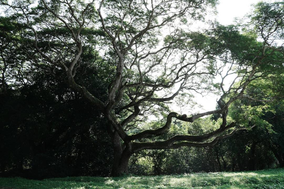 Koh Ker Tempelskoh-kerSiem Reap omgeving