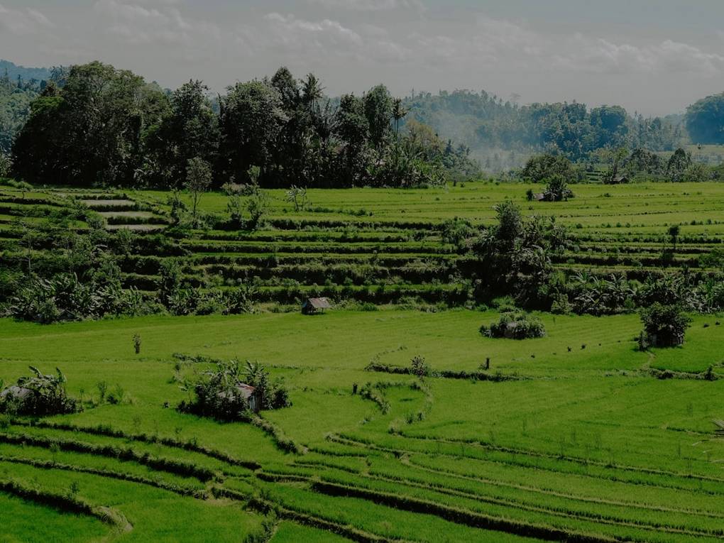 Siargao Bali food-culinary