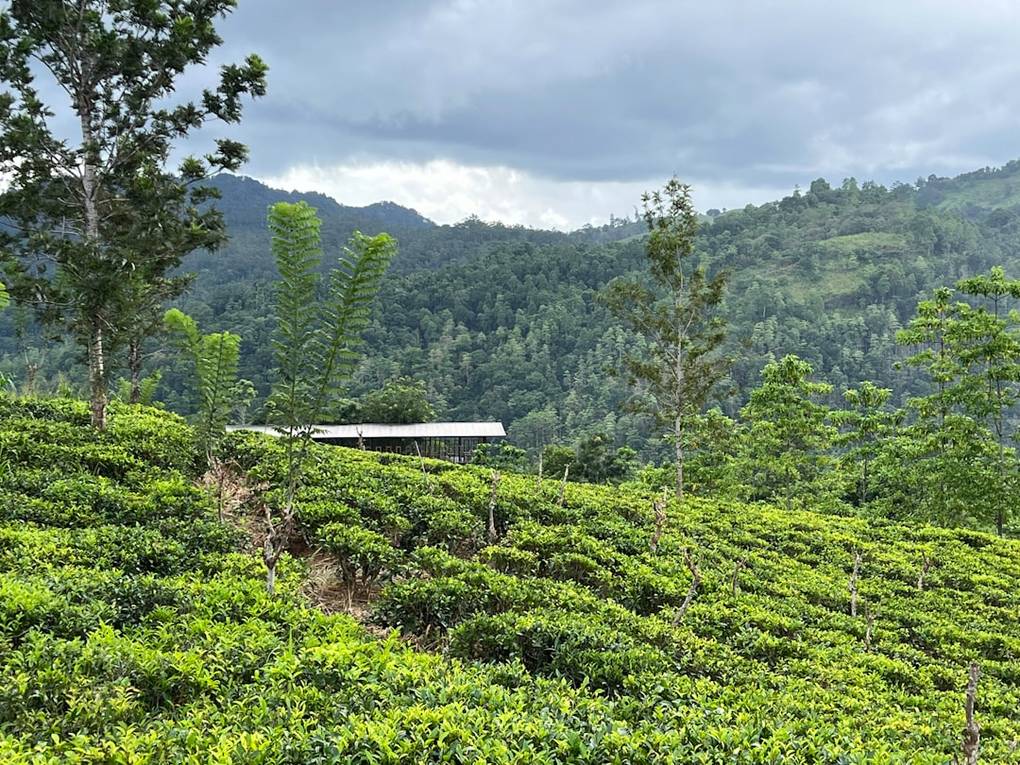 Kandy Ella vibe-audience