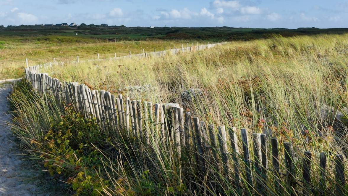Kampot Kep food-culinary