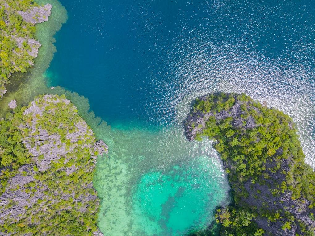 Zwemmen bij Children's Island: De Koude Realiteit van de Waterkwaliteit