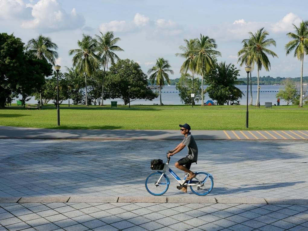 Overzicht van de reis