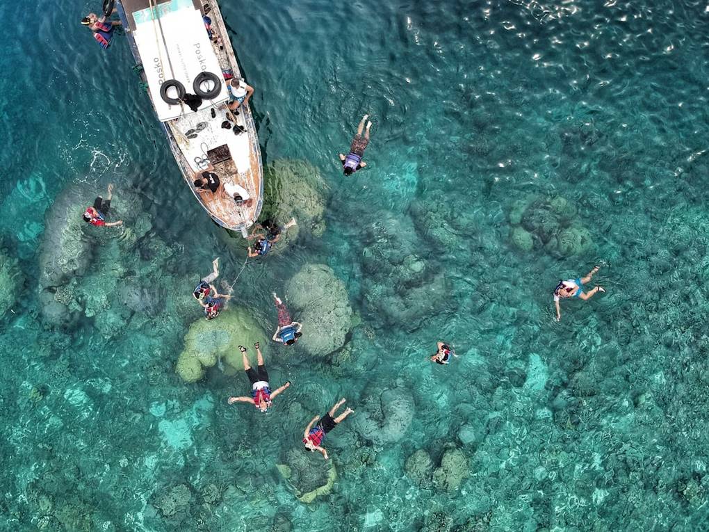 Wandelen in het Mentawai National Park: De Natuur in Al Zijn Glorie