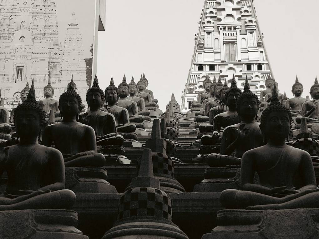 Male Colombo transport-navigation