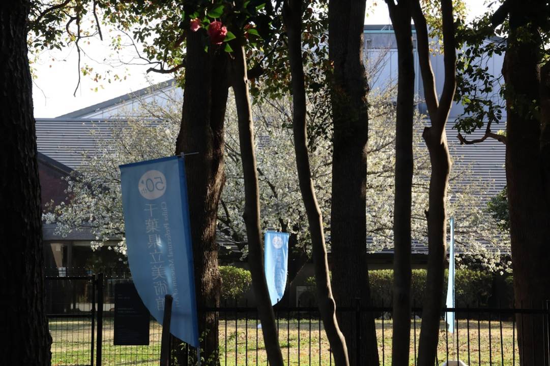 Daio Wasabi Boerderij: De Onverbiddelijke Waarheid van Natuur en Productie