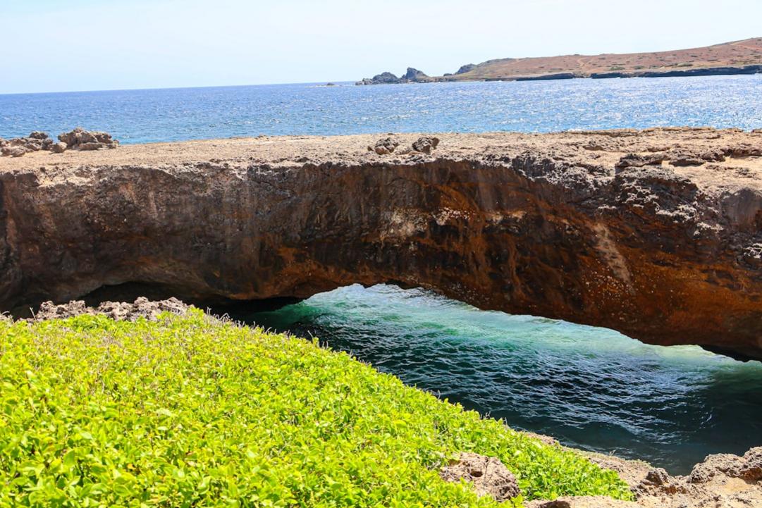 Grenada and Aruba highlights