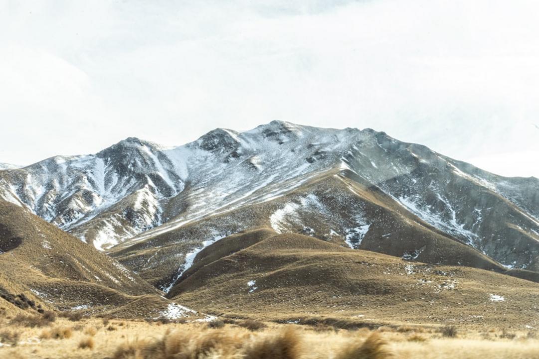 nature Nieuw-Zeeland vs Argentinië
