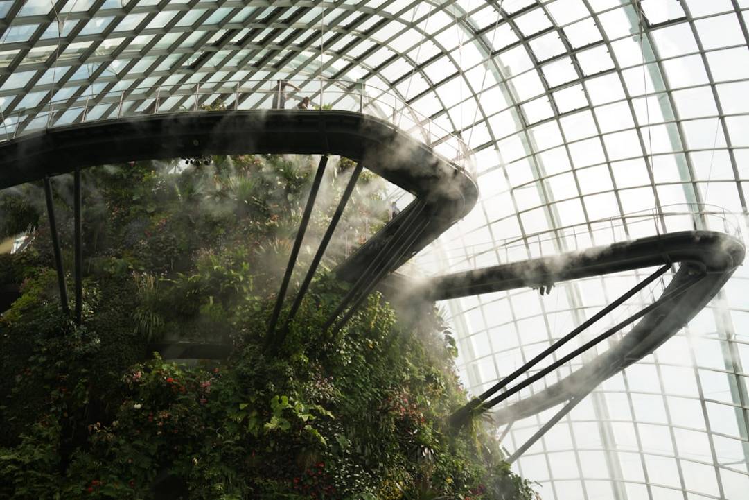 Cloud Forest Domecloud-forest-domeGardens by the Bay details