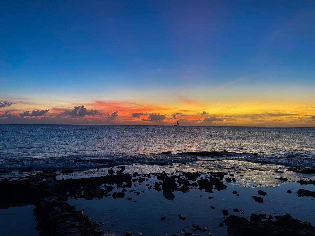 Bonaire — February