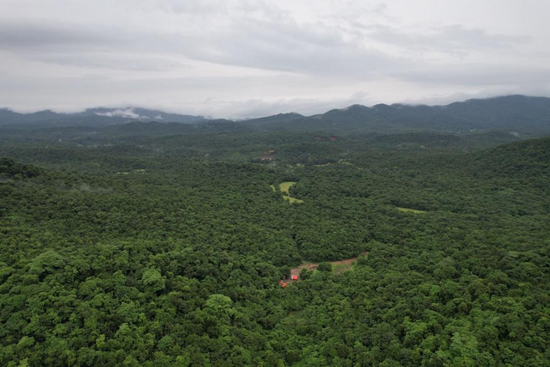 India — regional variation