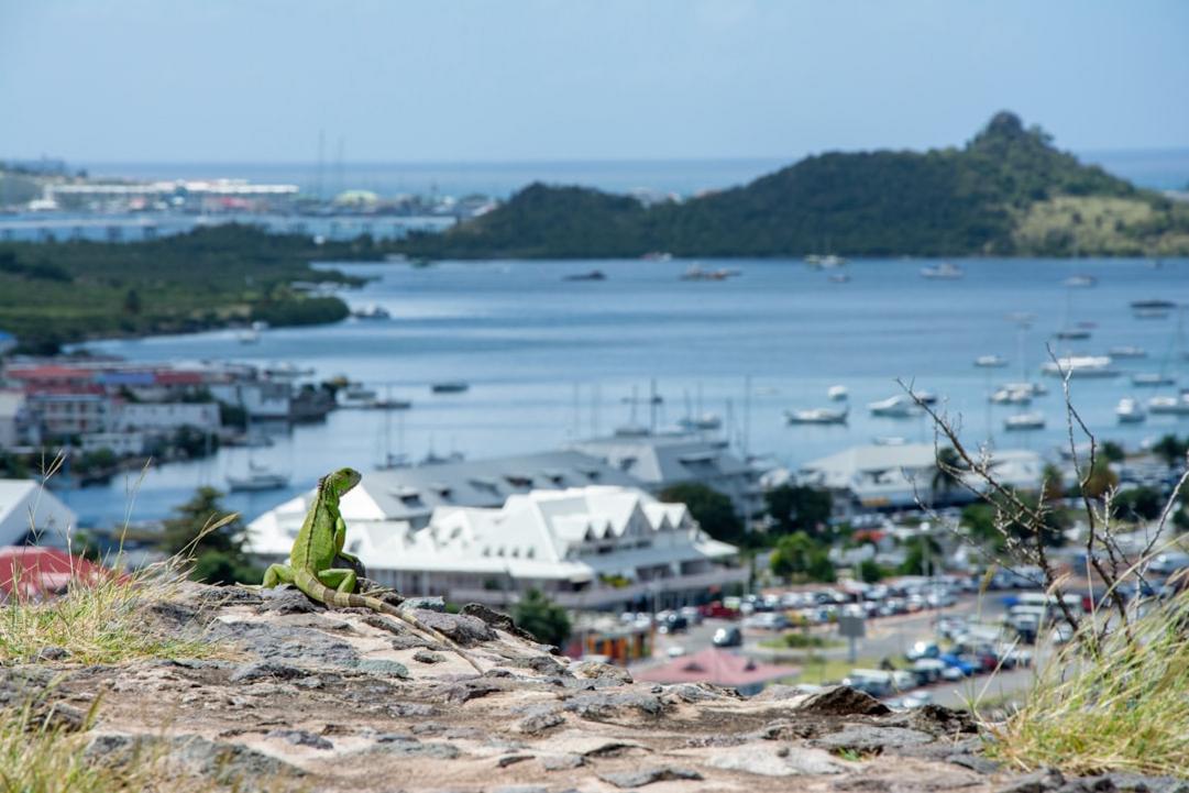 Marigot highlights