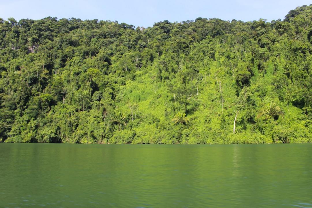 Top 5 dingen om te doen in Rio Dulce, rivierstad bij Lake Izabal 5 Rio Dulce food
